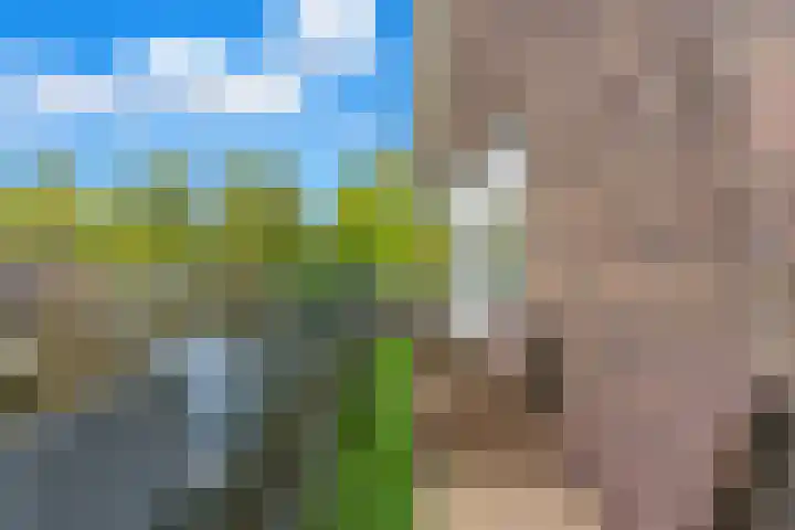 Adrianalaan 101 B Rotterdam thumbnail 4