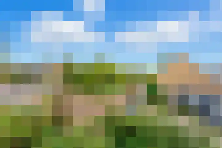 Adrianalaan 101 B Rotterdam thumbnail 41