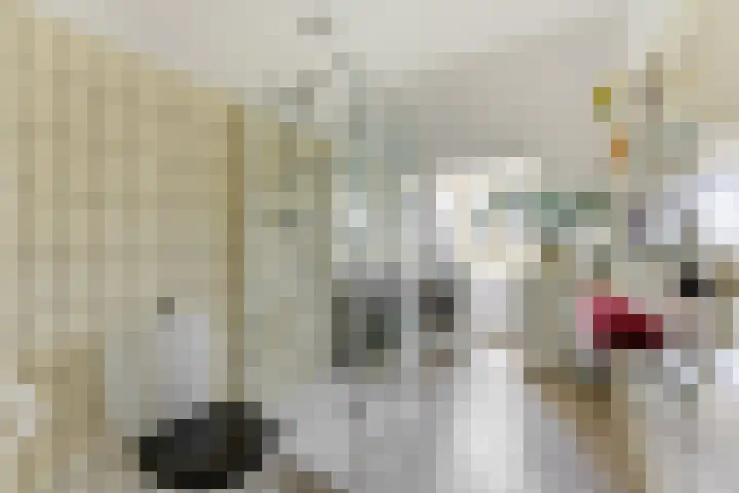 Adrianalaan 108 Rotterdam thumbnail 35