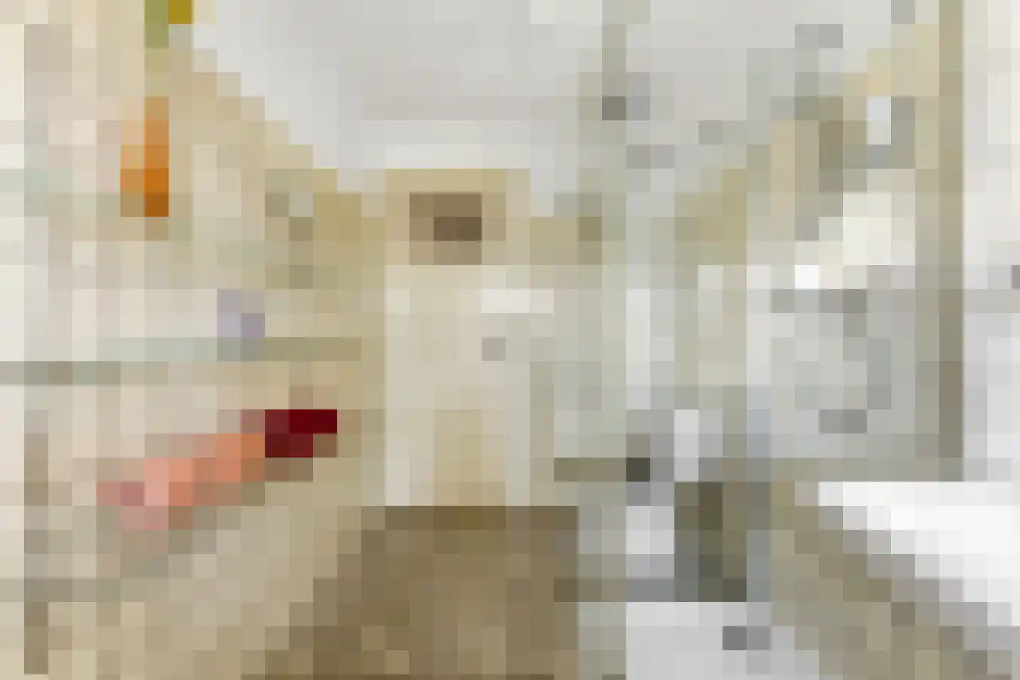 Adrianalaan 108 Rotterdam thumbnail 60