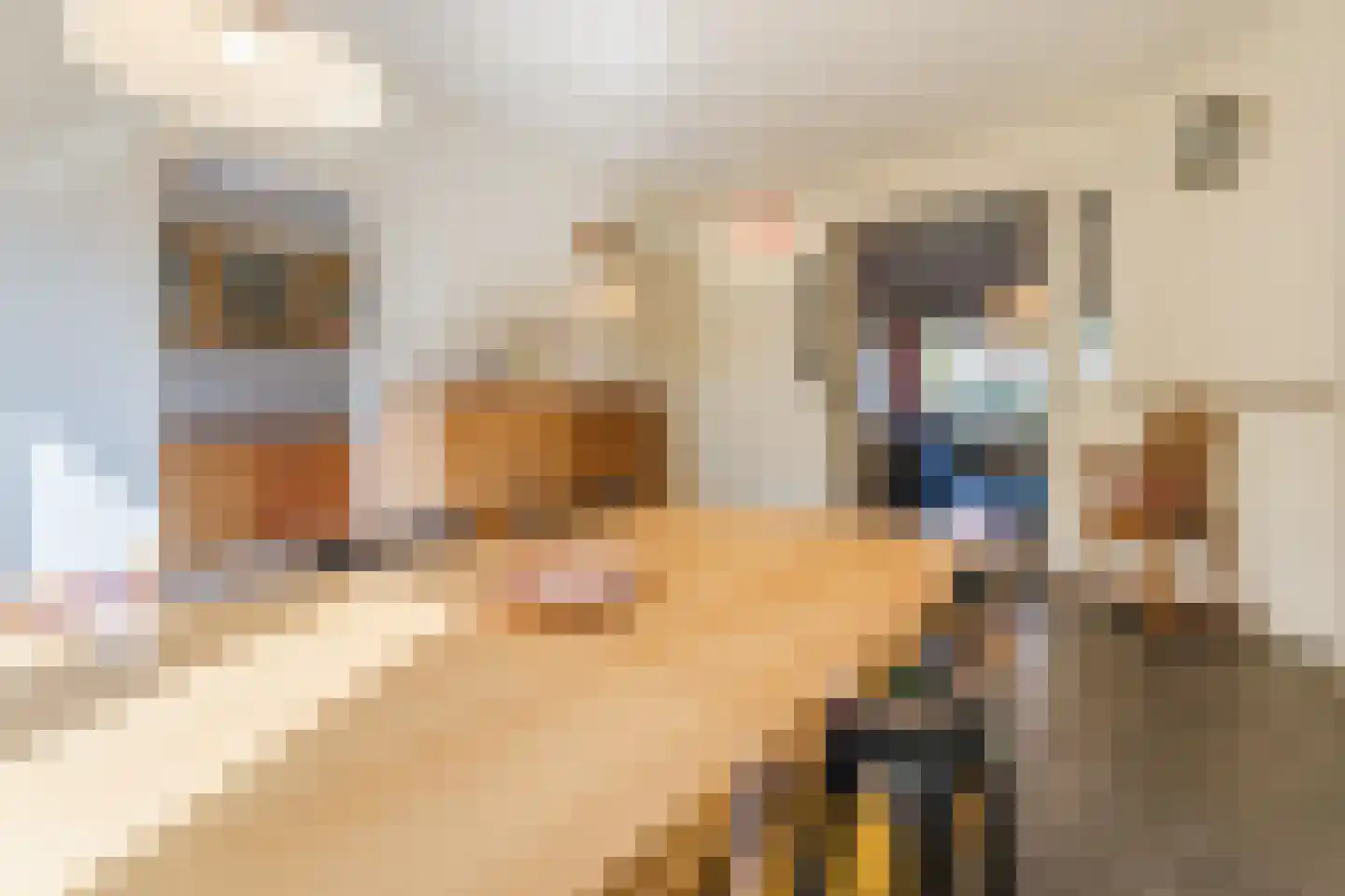 Adrianalaan 110 Rotterdam thumbnail 18