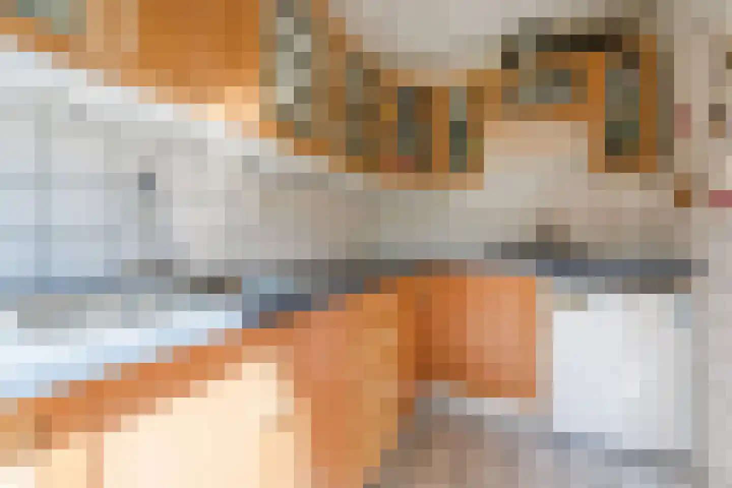 Adrianalaan 110 Rotterdam thumbnail 22
