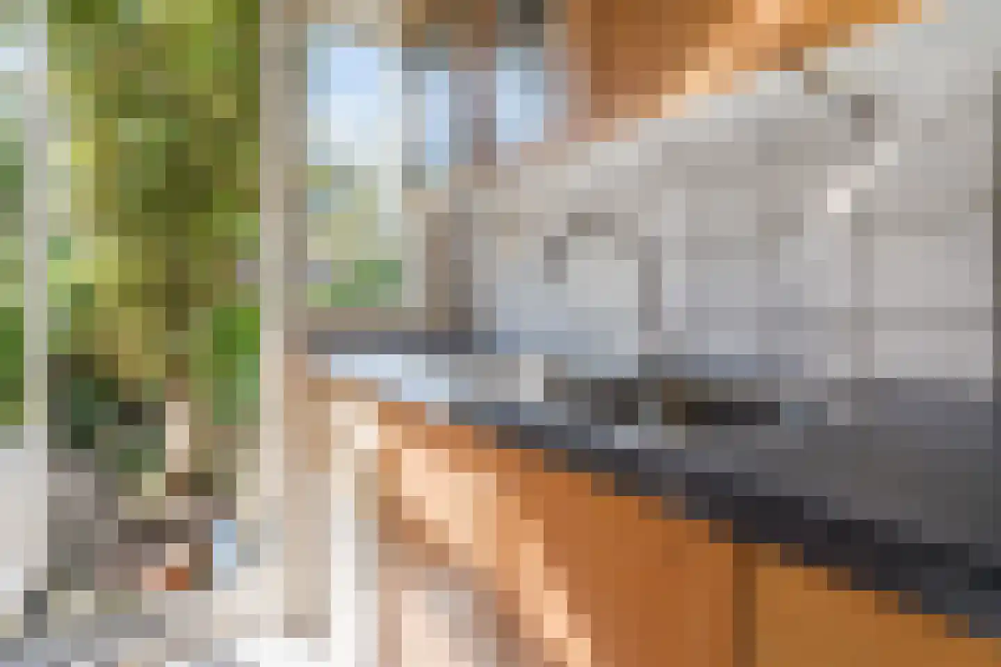 Adrianalaan 110 Rotterdam thumbnail 23