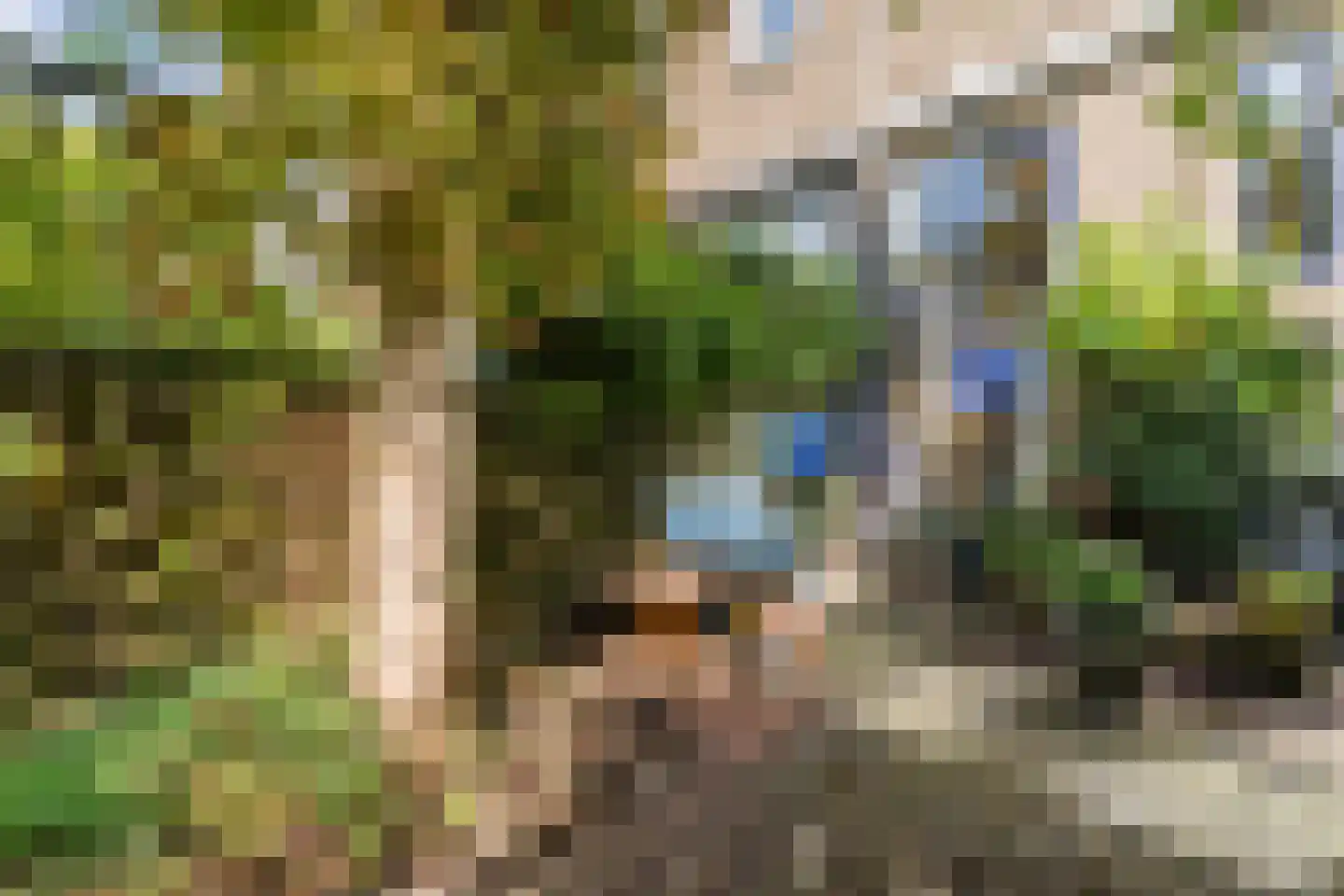 Adrianalaan 110 Rotterdam thumbnail 59