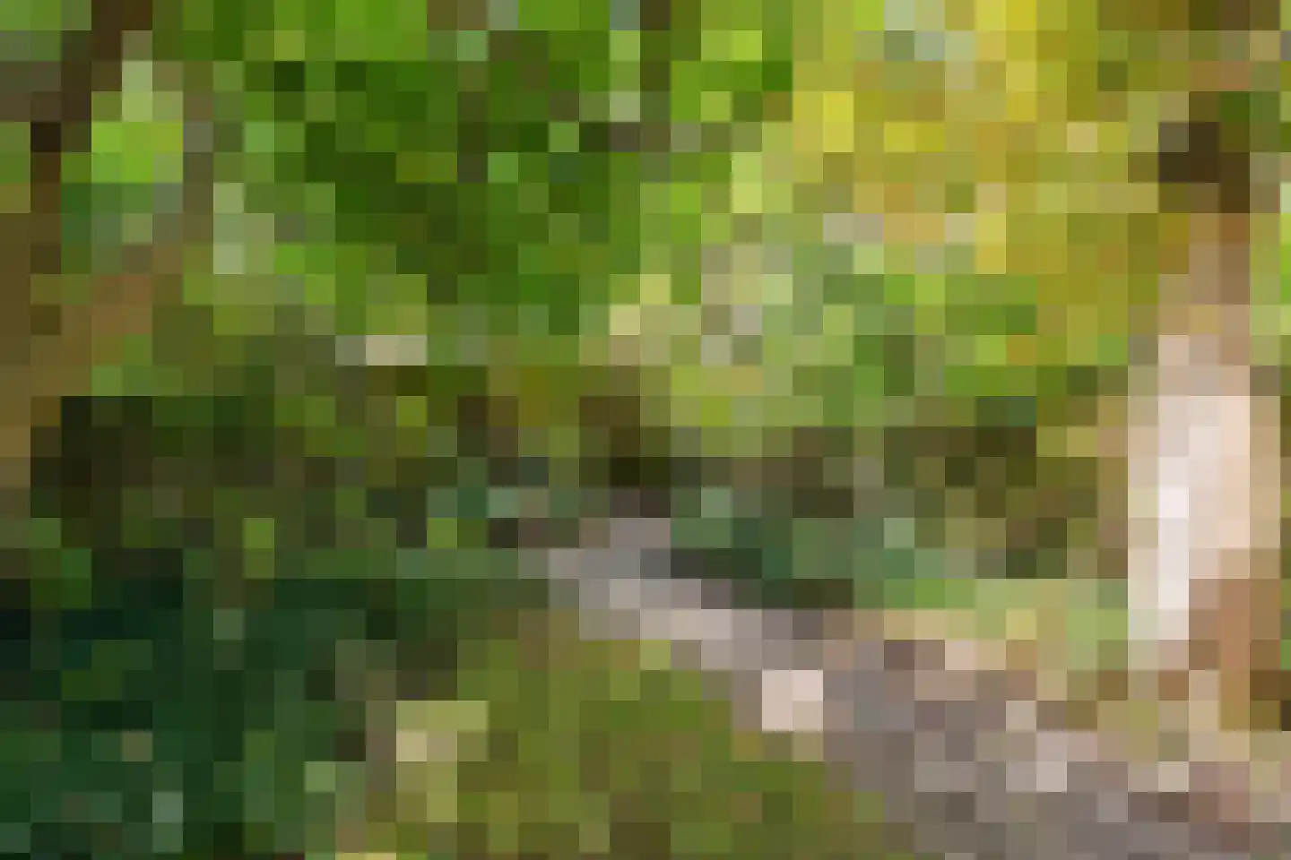 Adrianalaan 110 Rotterdam thumbnail 61