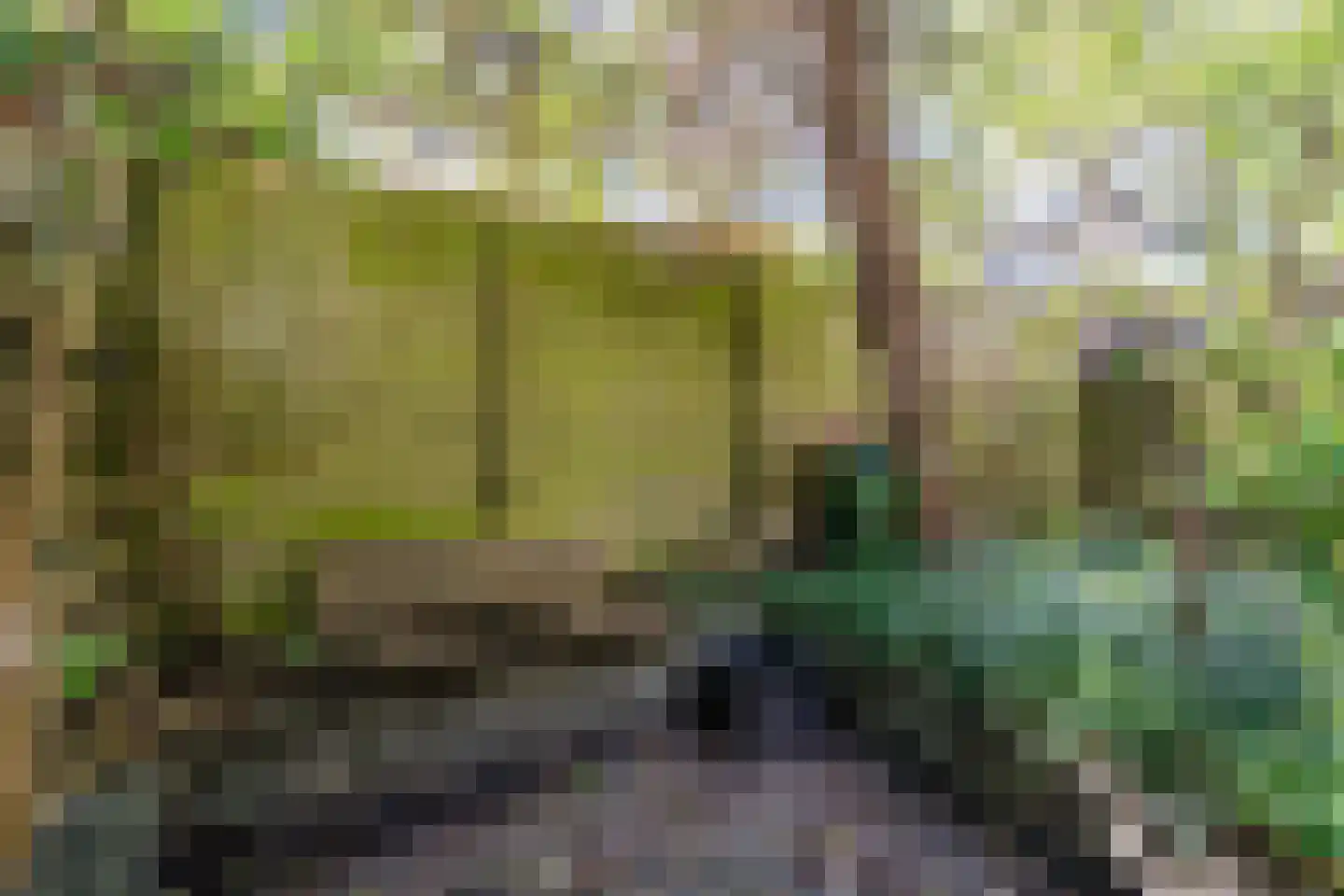 Adrianalaan 110 Rotterdam thumbnail 62