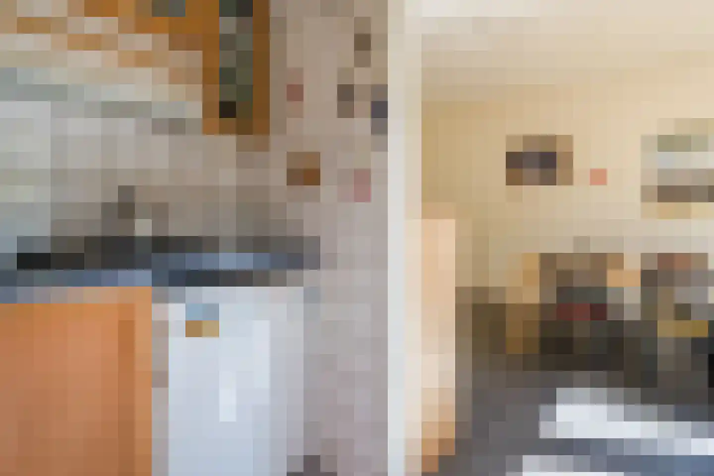Adrianalaan 110 Rotterdam thumbnail 69