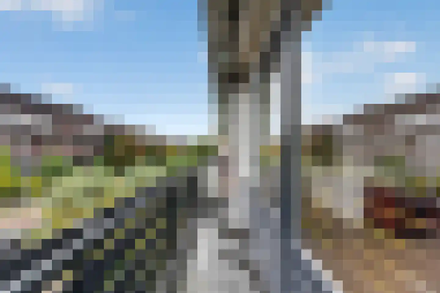 Adrianalaan 123 Rotterdam thumbnail 36
