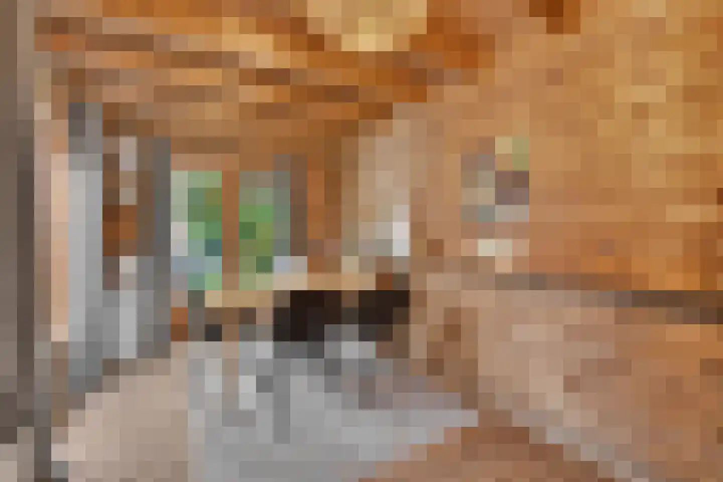 Adrianalaan 123 Rotterdam thumbnail 7