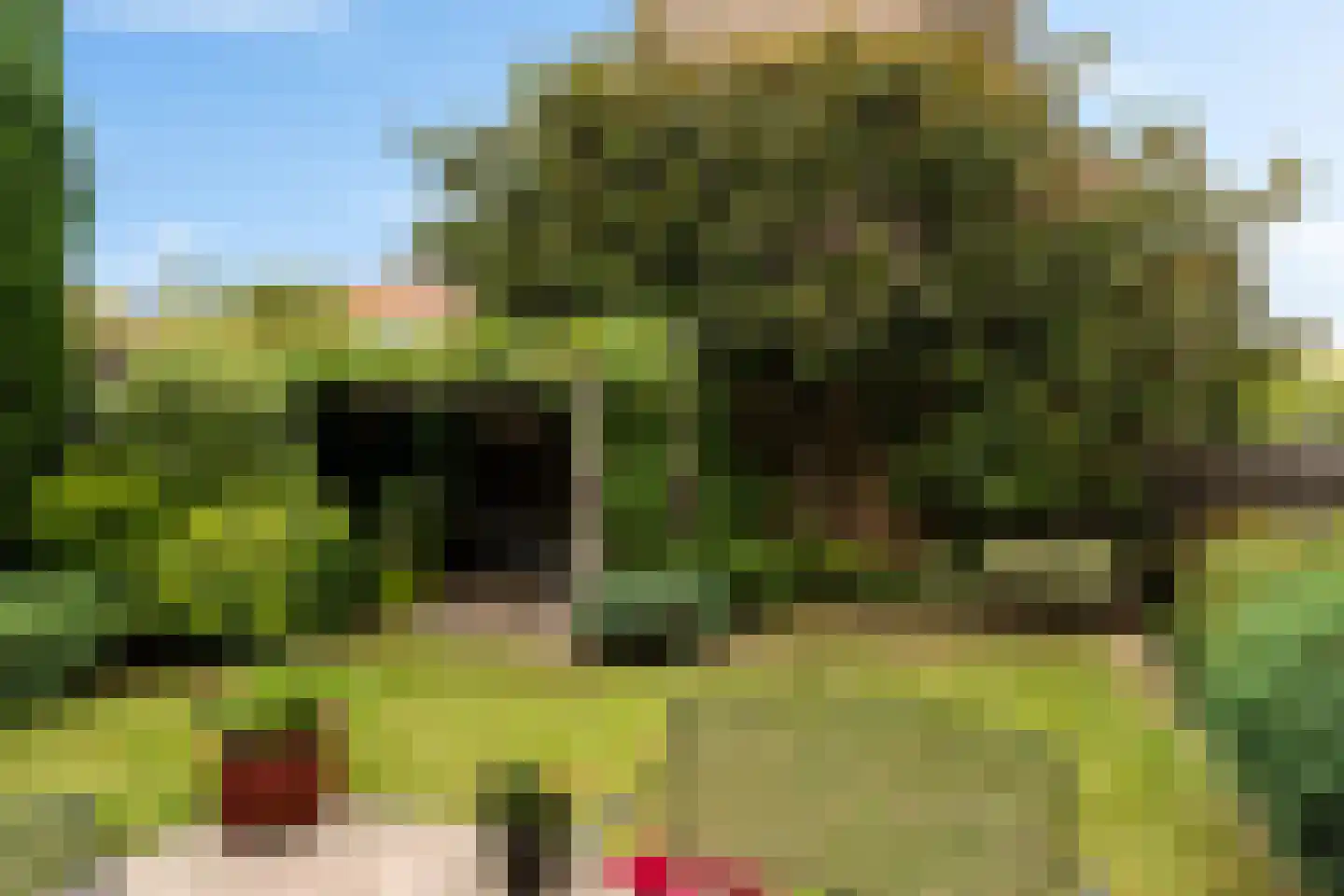 Adrianalaan 201 Rotterdam thumbnail 63