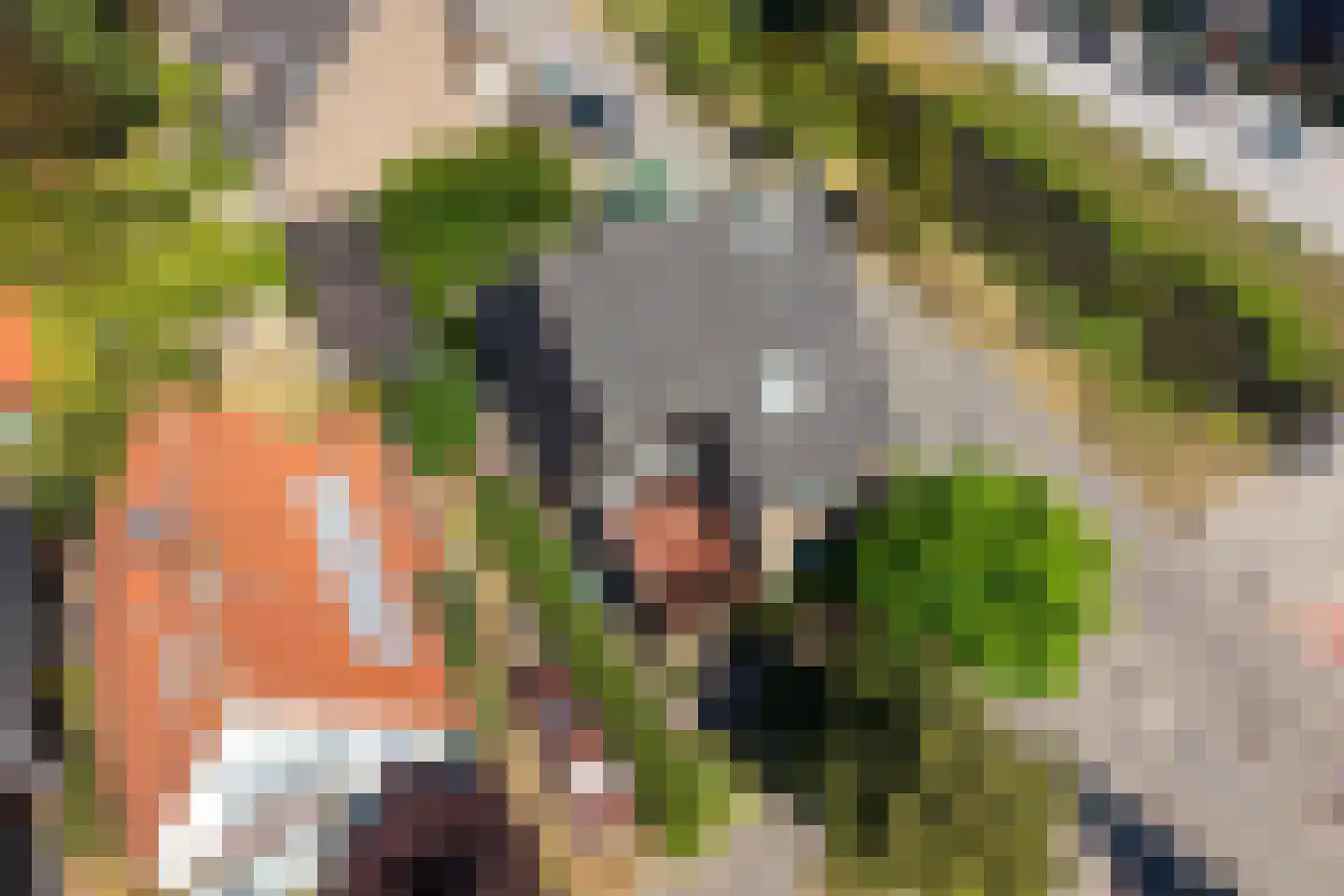 Adrianalaan 201 Rotterdam thumbnail 68