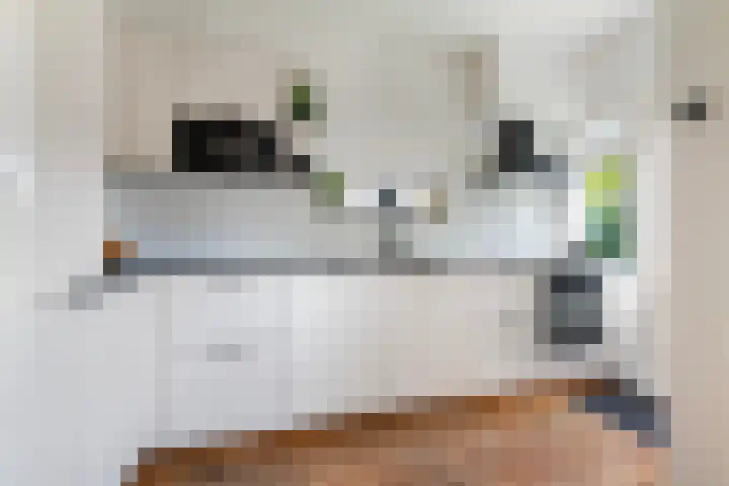 Adrianalaan 219 Rotterdam thumbnail 9