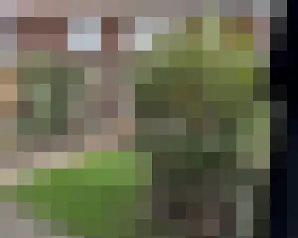 Adrianalaan 220 Rotterdam thumbnail 27