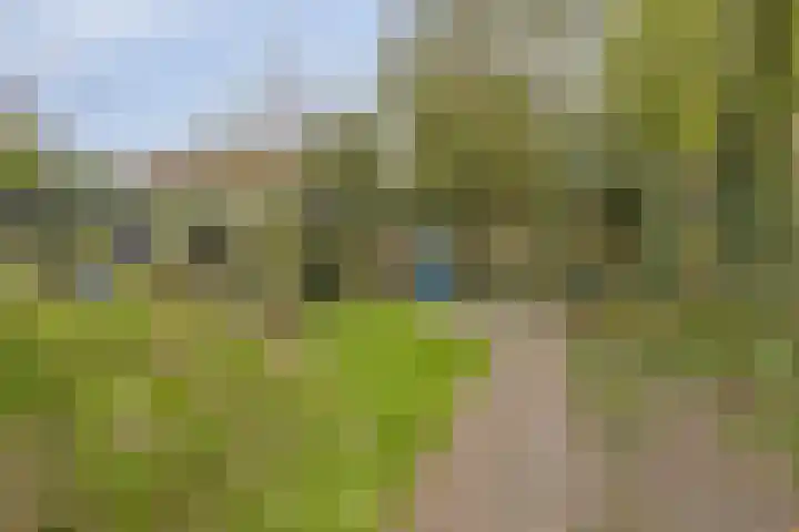 Adrianalaan 220 Rotterdam thumbnail 29