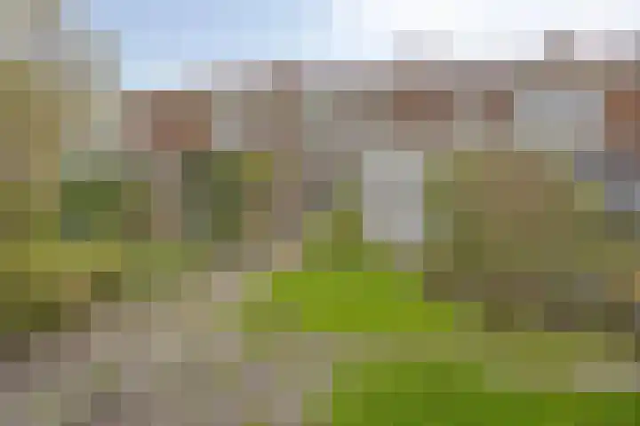 Adrianalaan 220 Rotterdam thumbnail 30