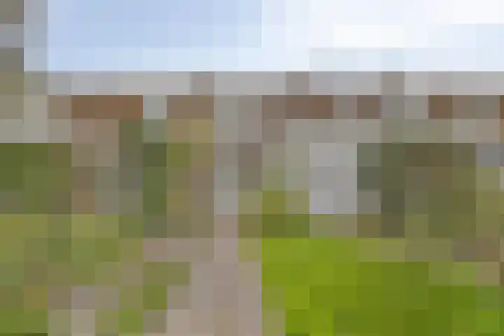 Adrianalaan 220 Rotterdam thumbnail 31