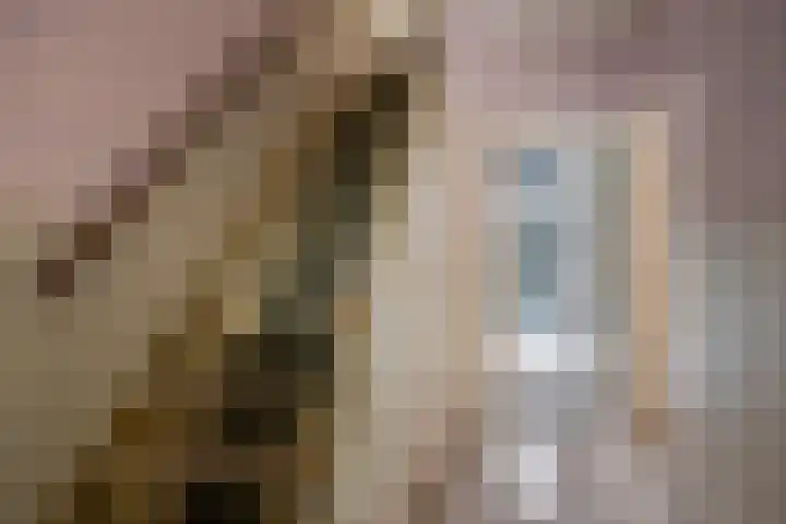 Adrianalaan 220 Rotterdam thumbnail 5