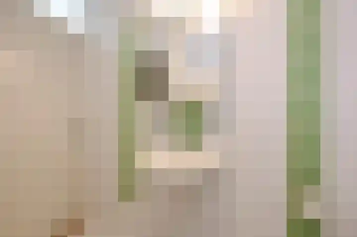 Adrianalaan 220 Rotterdam thumbnail 8