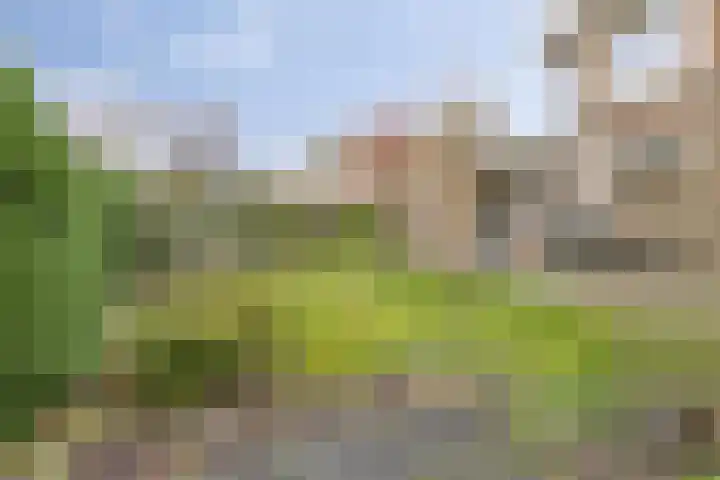 Adrianalaan 226 Rotterdam thumbnail 10