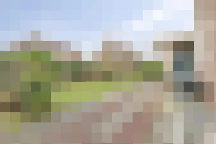 Adrianalaan 226 Rotterdam thumbnail 11