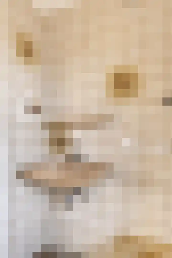 Adrianalaan 226 Rotterdam thumbnail 16