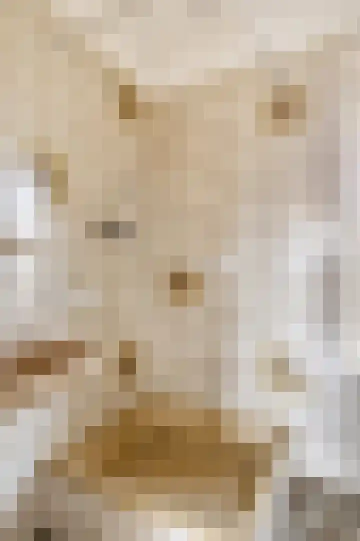 Adrianalaan 226 Rotterdam thumbnail 17