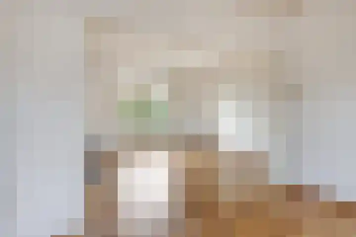Adrianalaan 226 Rotterdam thumbnail 28