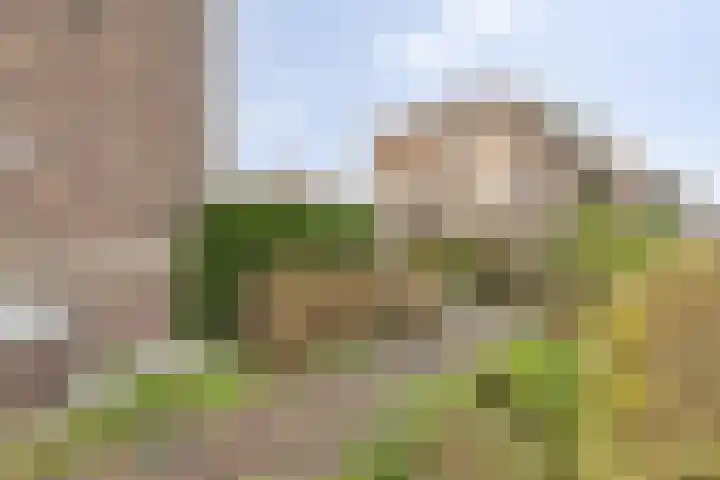 Adrianalaan 226 Rotterdam thumbnail 6