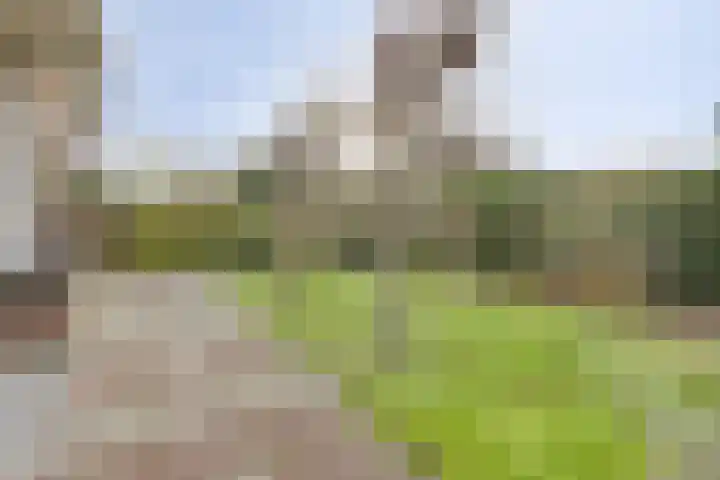 Adrianalaan 226 Rotterdam thumbnail 7