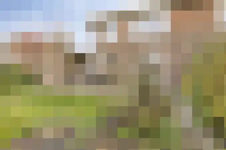 Adrianalaan 226 Rotterdam thumbnail 9