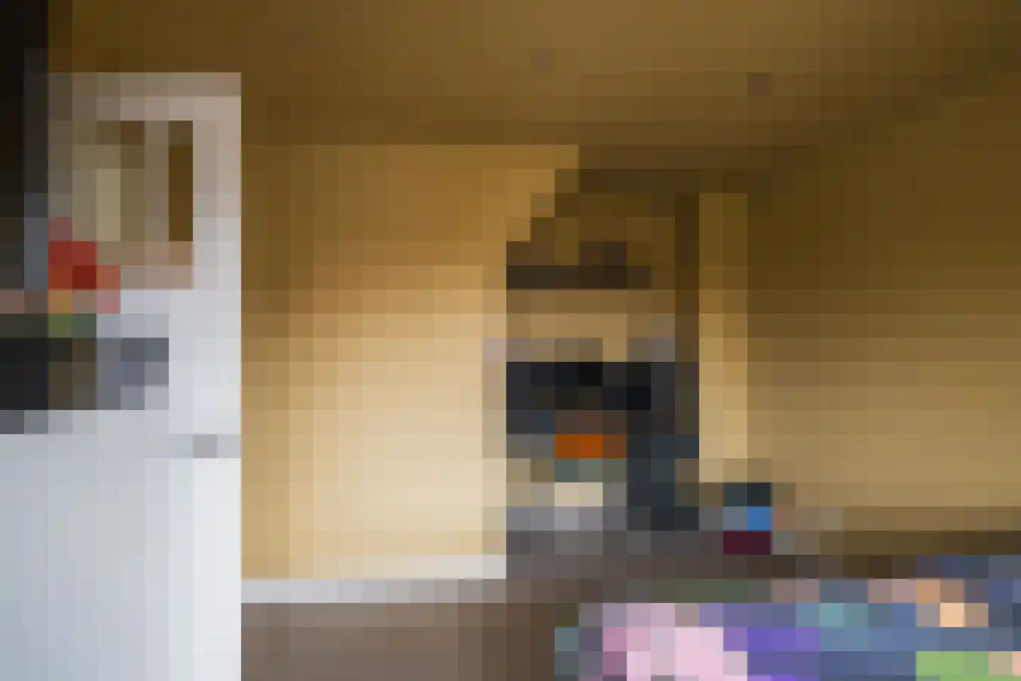 Adrianalaan 261 Rotterdam thumbnail 27
