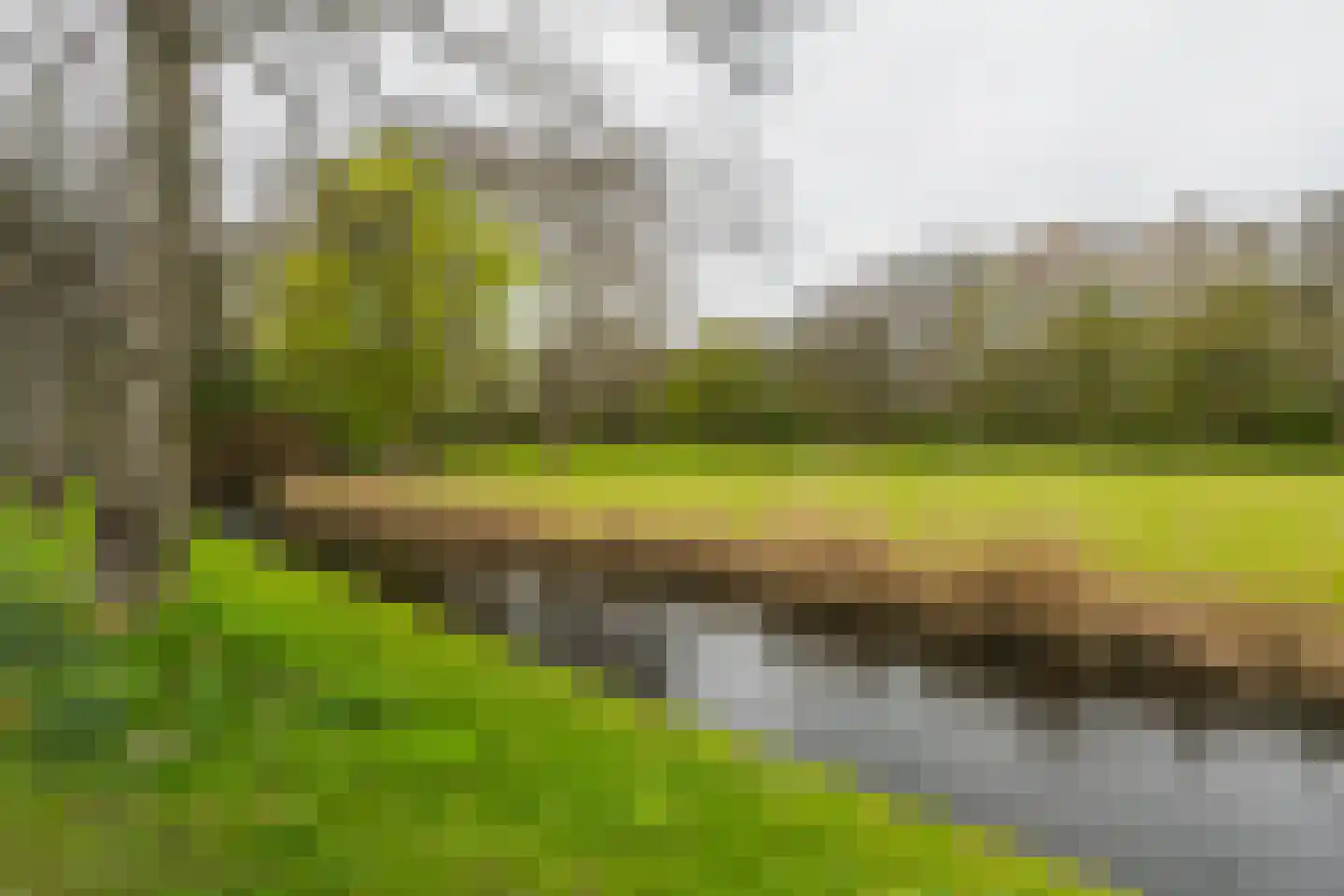 Adrianalaan 261 Rotterdam thumbnail 42