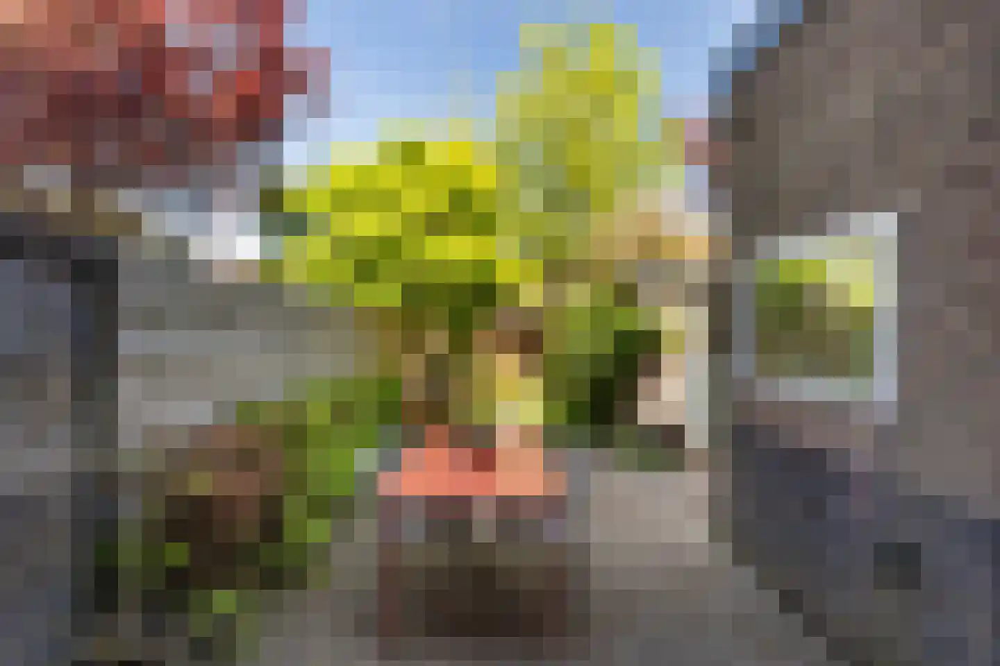 Adrianalaan 287 Rotterdam thumbnail 13