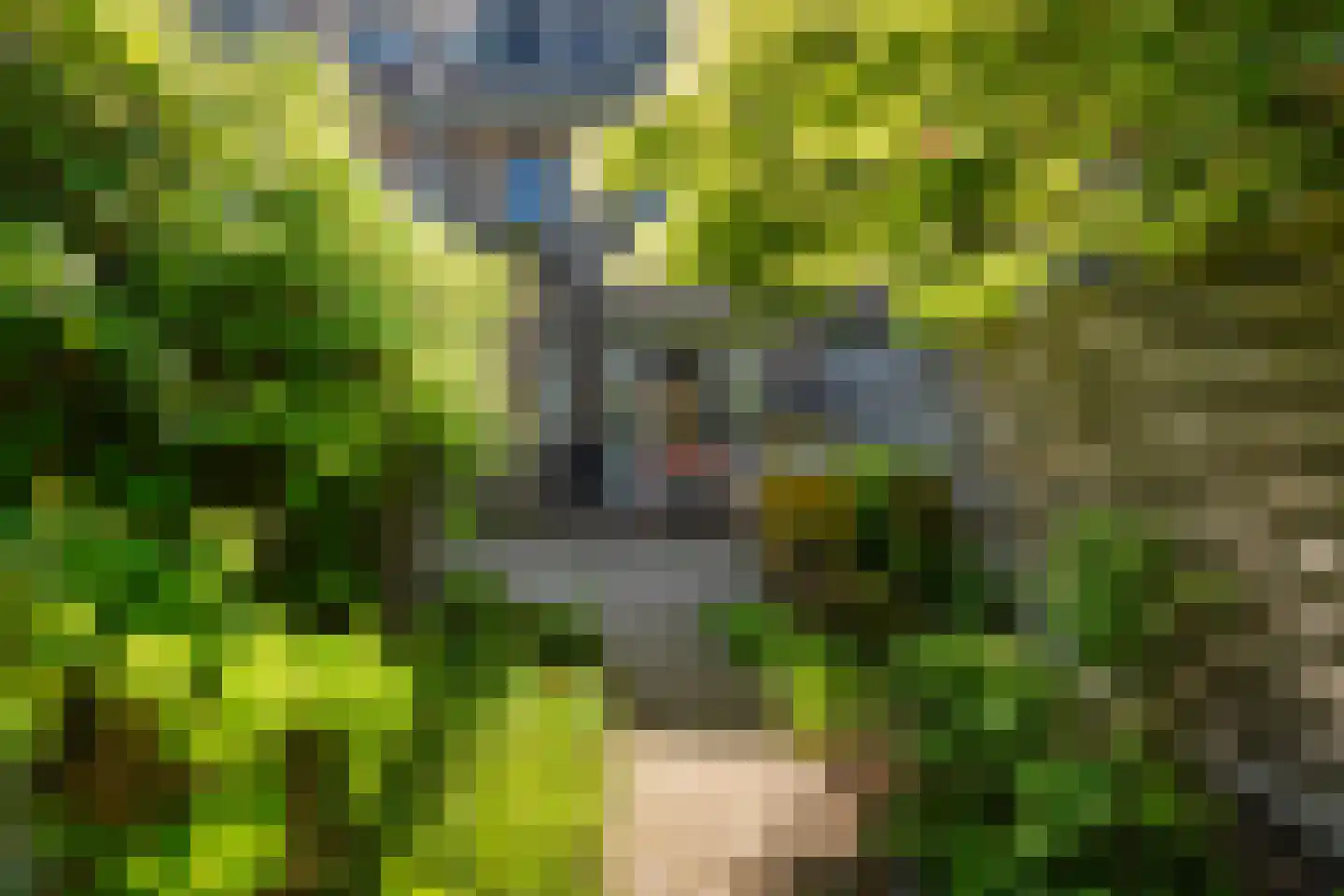 Adrianalaan 287 Rotterdam thumbnail 17