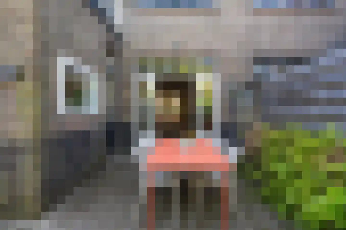 Adrianalaan 287 Rotterdam thumbnail 18