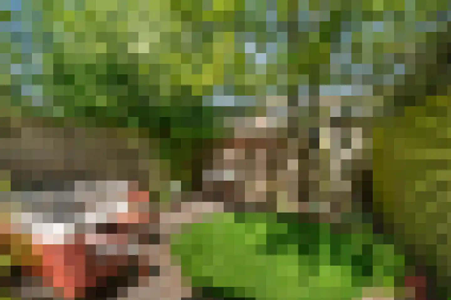 Adrianalaan 287 Rotterdam thumbnail 5