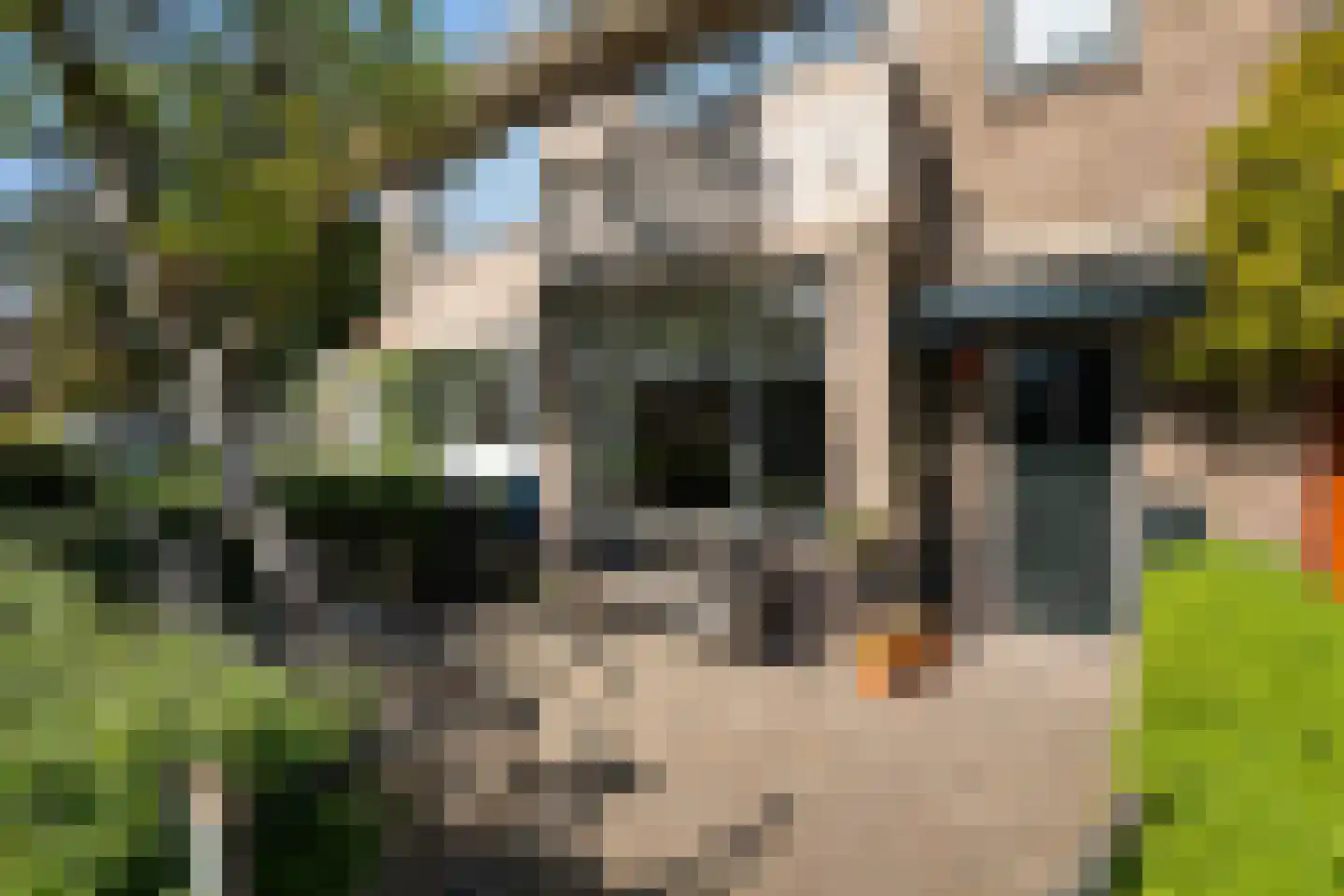 Adrianalaan 287 Rotterdam thumbnail 6