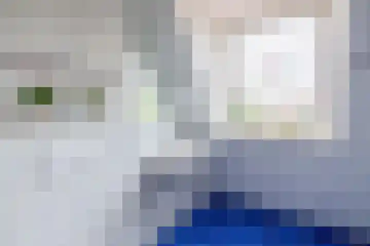 Adrianalaan 293 Rotterdam thumbnail 34