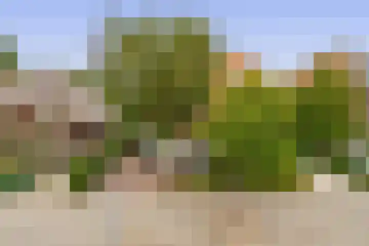 Adrianalaan 293 Rotterdam thumbnail 5