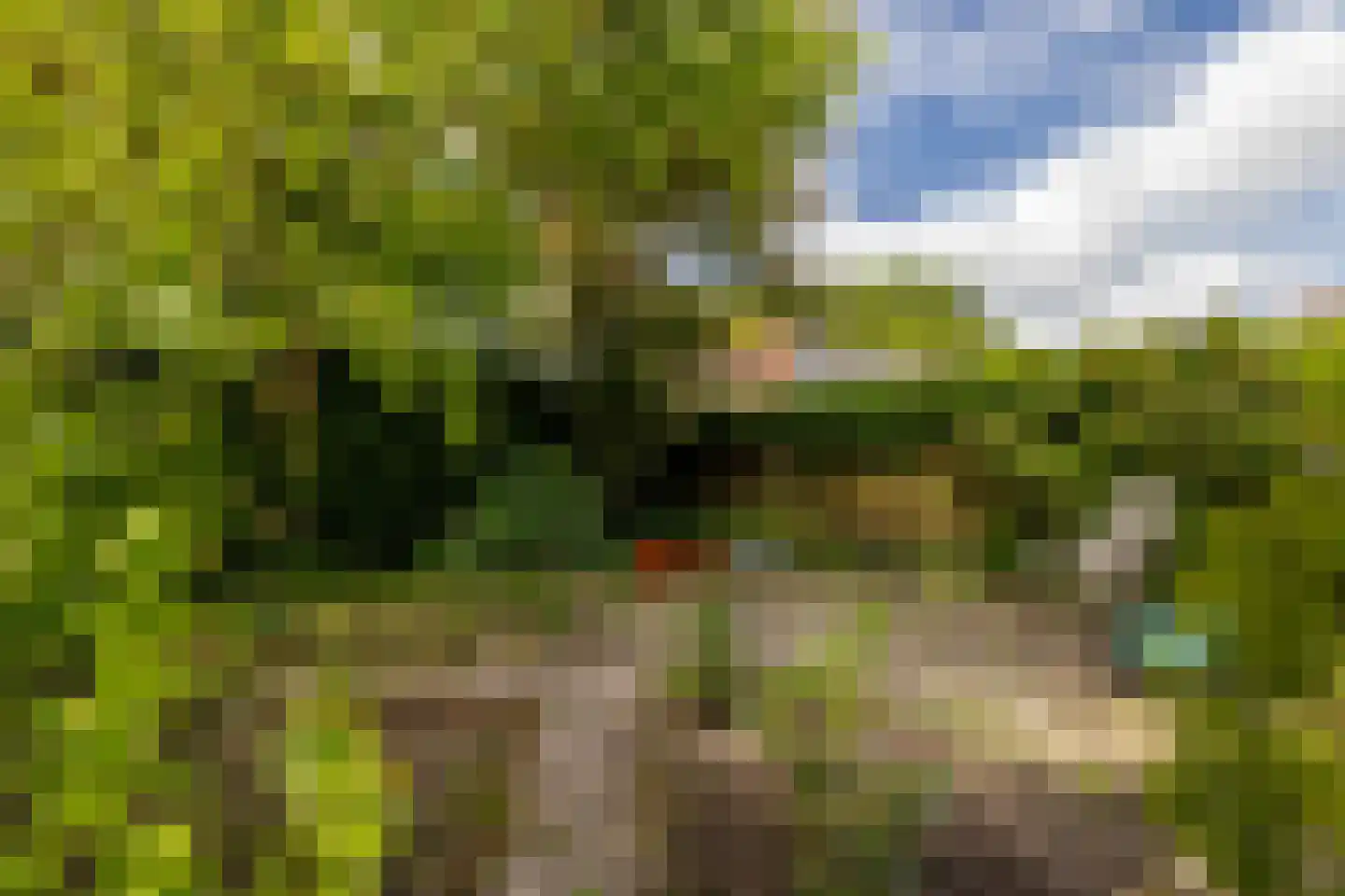 Adrianalaan 295 Rotterdam thumbnail 35