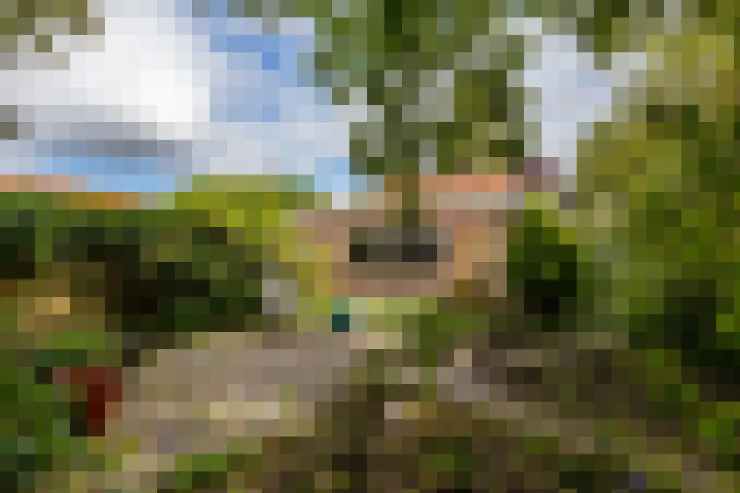 Adrianalaan 295 Rotterdam thumbnail 36