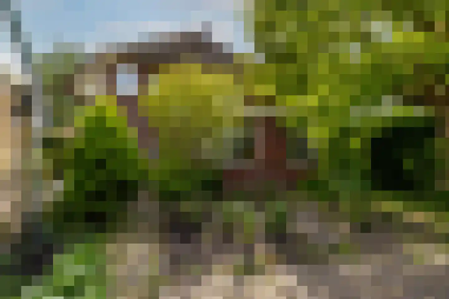 Adrianalaan 295 Rotterdam thumbnail 38