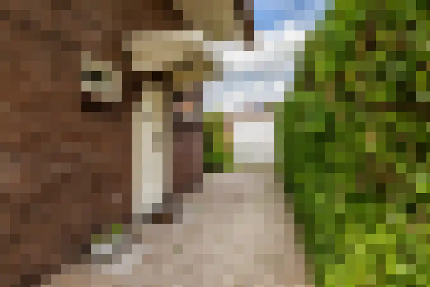 Adrianalaan 295 Rotterdam thumbnail 4