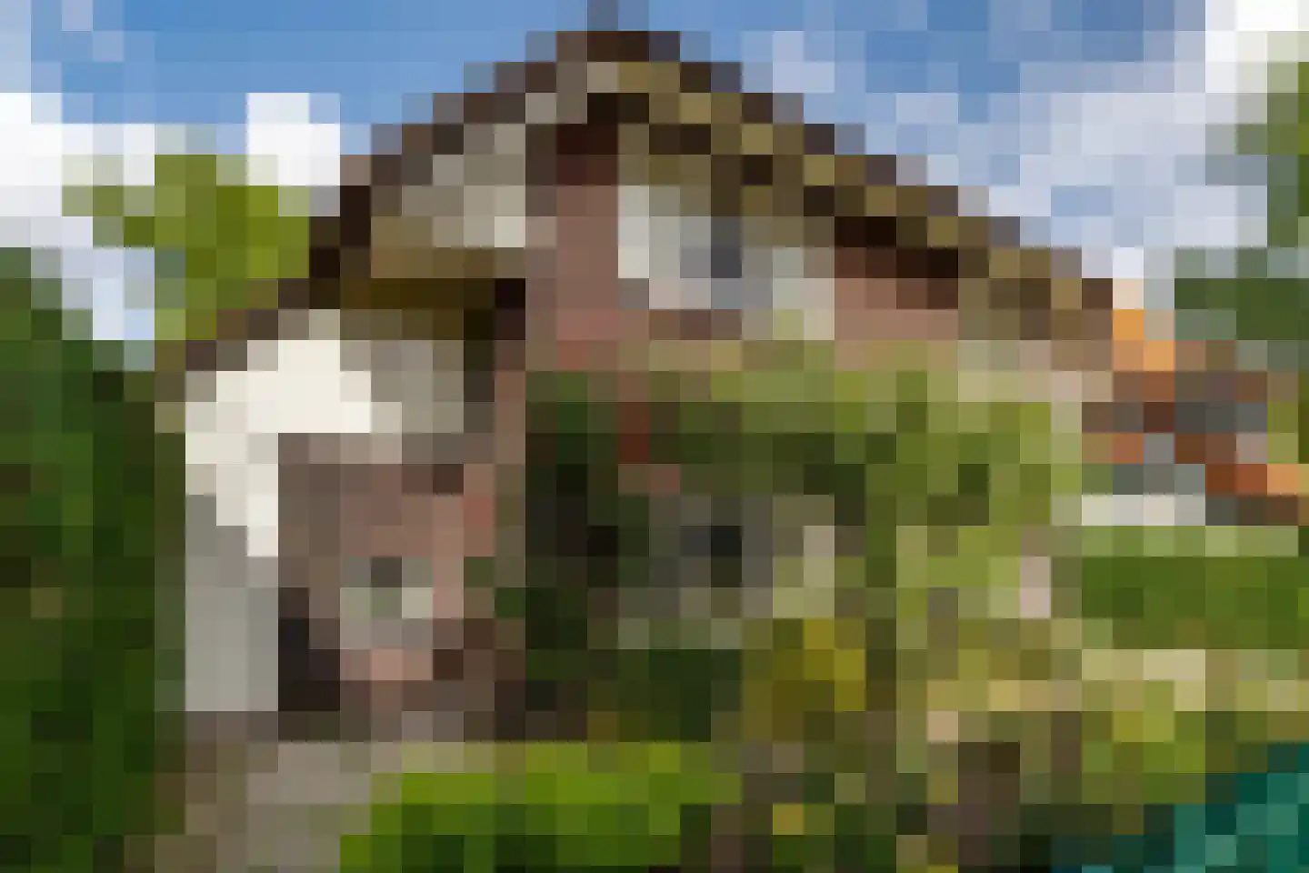 Adrianalaan 295 Rotterdam thumbnail 41