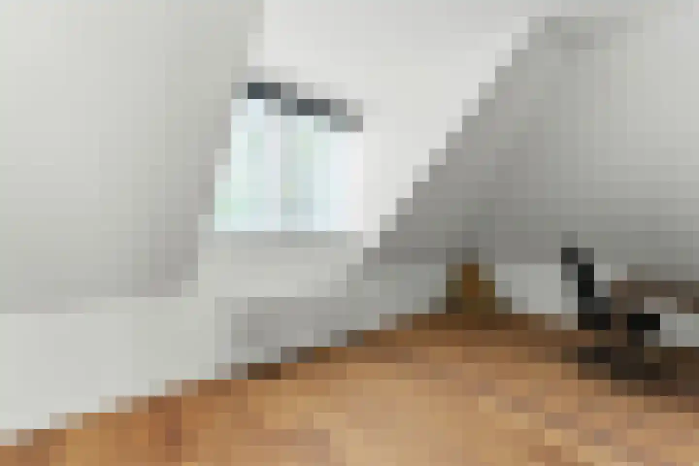 Adrianalaan 395 Rotterdam thumbnail 38