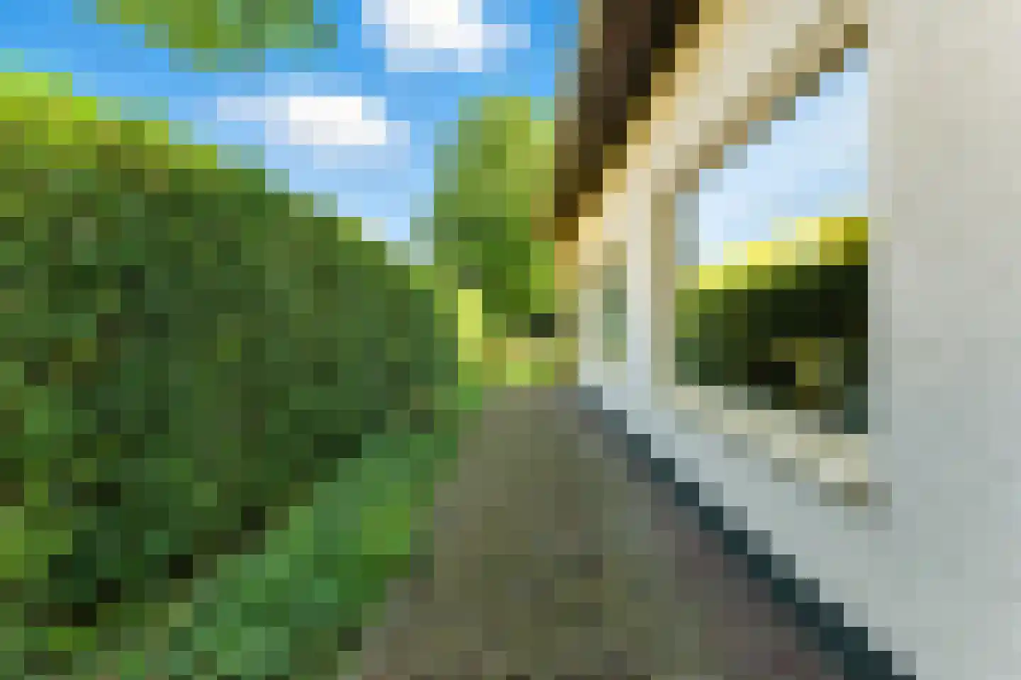 Adrianalaan 395 Rotterdam thumbnail 55