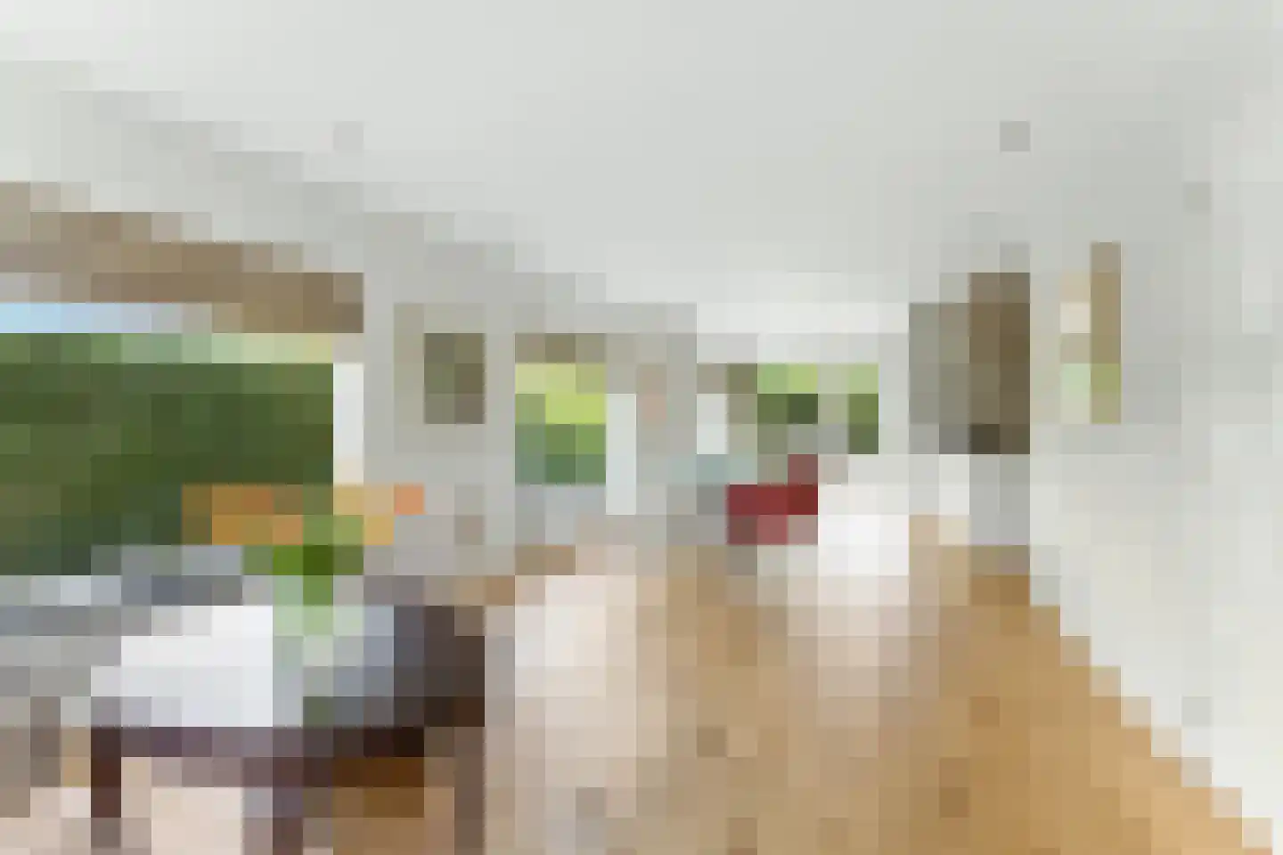Adrianalaan 395 Rotterdam thumbnail 8