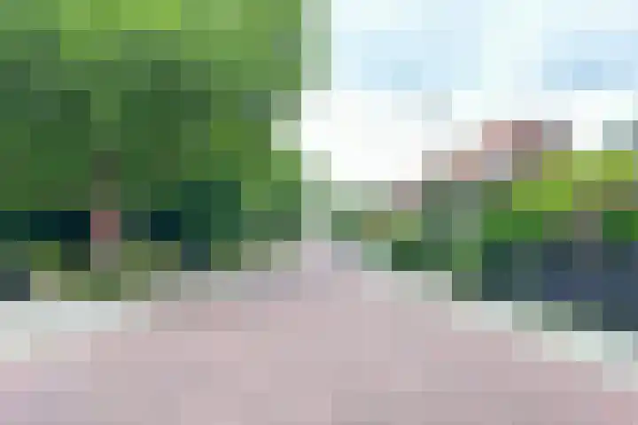 Adrianalaan 53 Rotterdam thumbnail 31