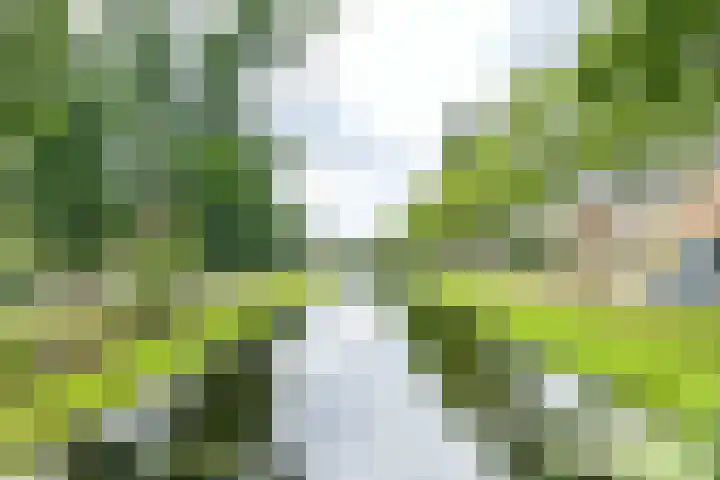 Adrianalaan 53 Rotterdam thumbnail 32