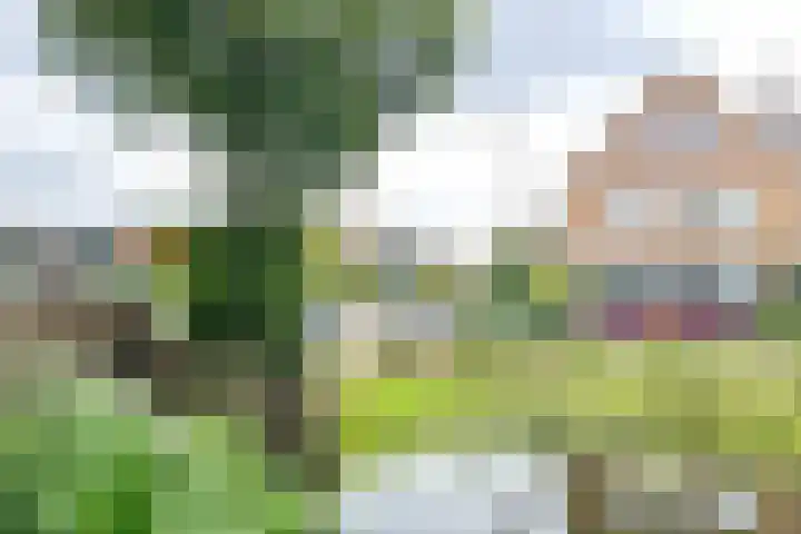 Adrianalaan 53 Rotterdam thumbnail 33